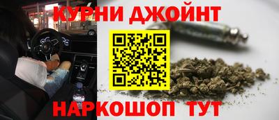 шишки Заводоуковск