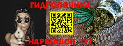 шишки Заводоуковск