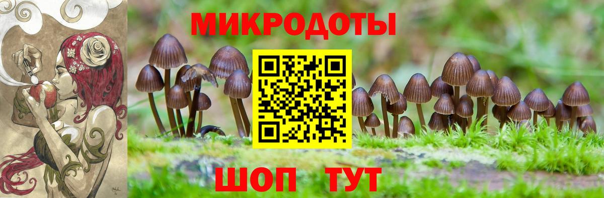 Псилоцибиновые грибы ЛСД Лыткарино